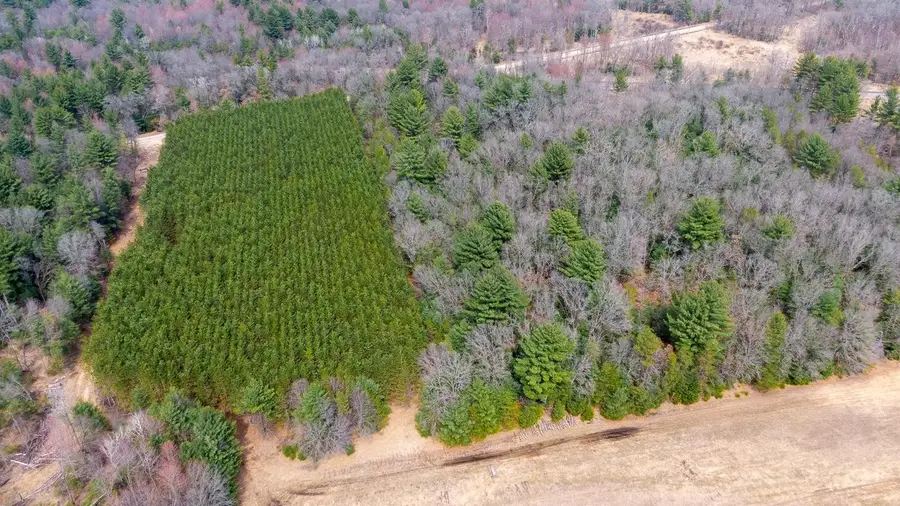 Lot 2 +/-43 Ac Dover Drive, Adams, WI 53910 - #3