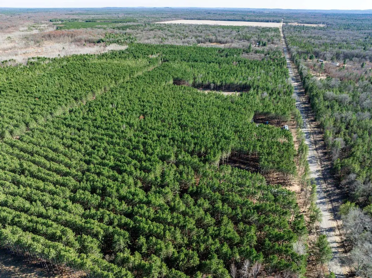 N9238 8th Avenue, New Lisbon, WI 53950 - #1