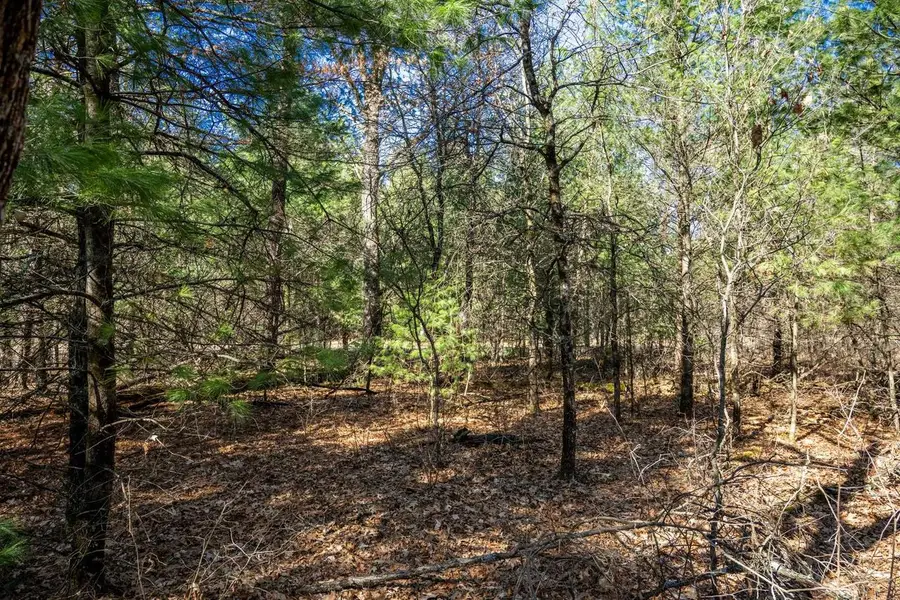 Lot 4 Morros Mile Road, Necedah, WI 54646 - #2