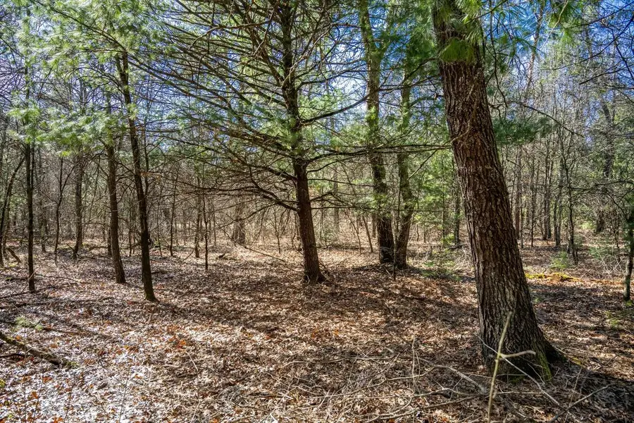 Lot 4 Morros Mile Road, Necedah, WI 54646 - #3