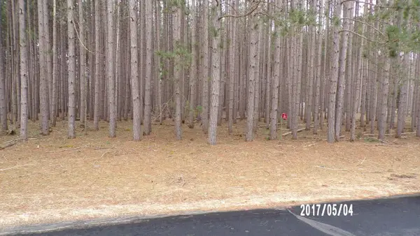 246 Winchester Road, Nekoosa, WI 54457