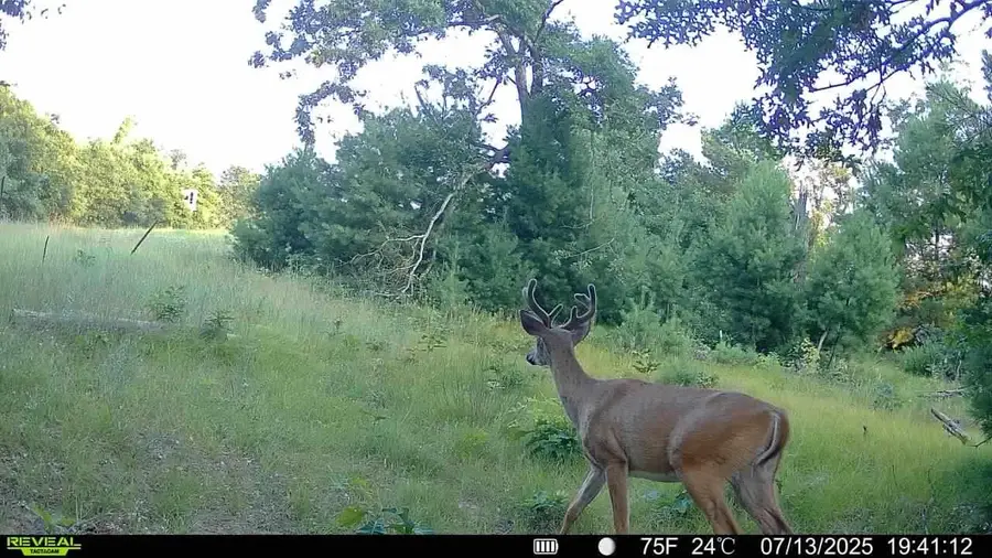 28.07Acres Driftwood Avenue, Byron, WI 54666 - #3