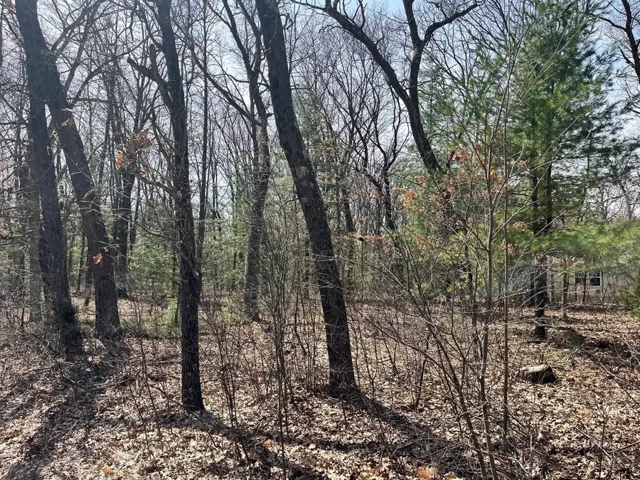 L 87 & 102 13th Drive, Friendship, WI 53934 - #3