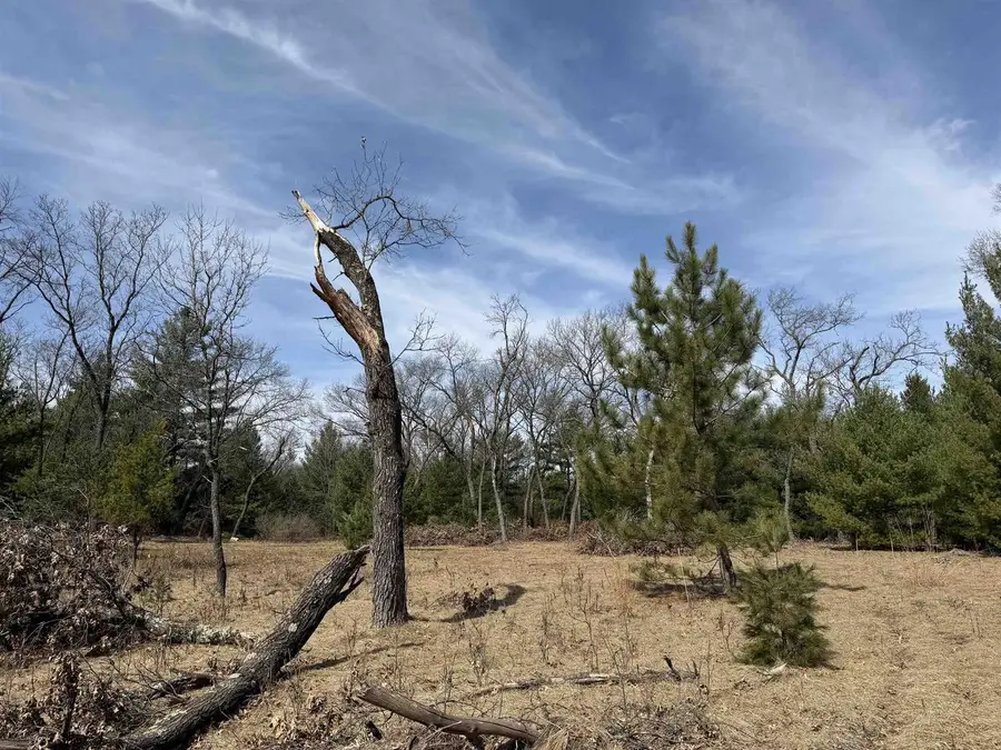 Lot 30 Fern Drive, Wisconsin Dells, WI 53965 - #2
