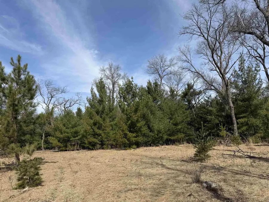 Lot 30 Fern Drive, Wisconsin Dells, WI 53965 - #3