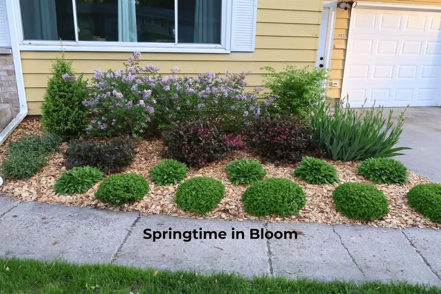 402 Frost Woods Road, Monona, WI 53716 - #3