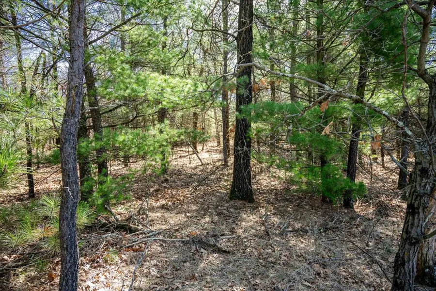 Lot 2 19th Avenue, Necedah, WI 54646 - #2