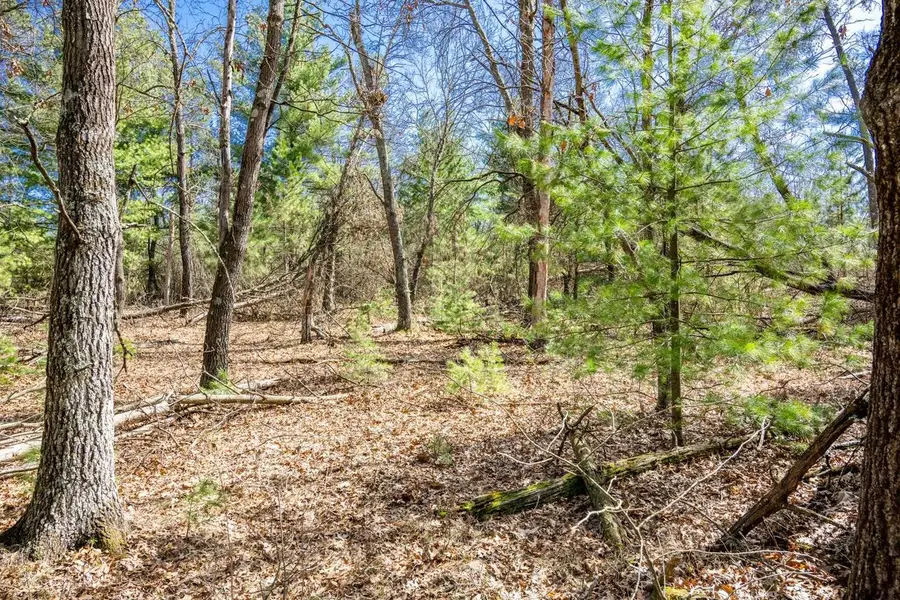 Lot 2 19th Avenue, Necedah, WI 54646 - #3