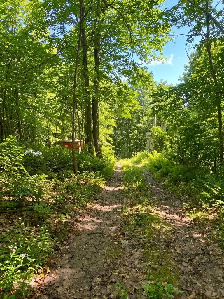 E5894 Jore Road, Westby, WI 54667 - #2