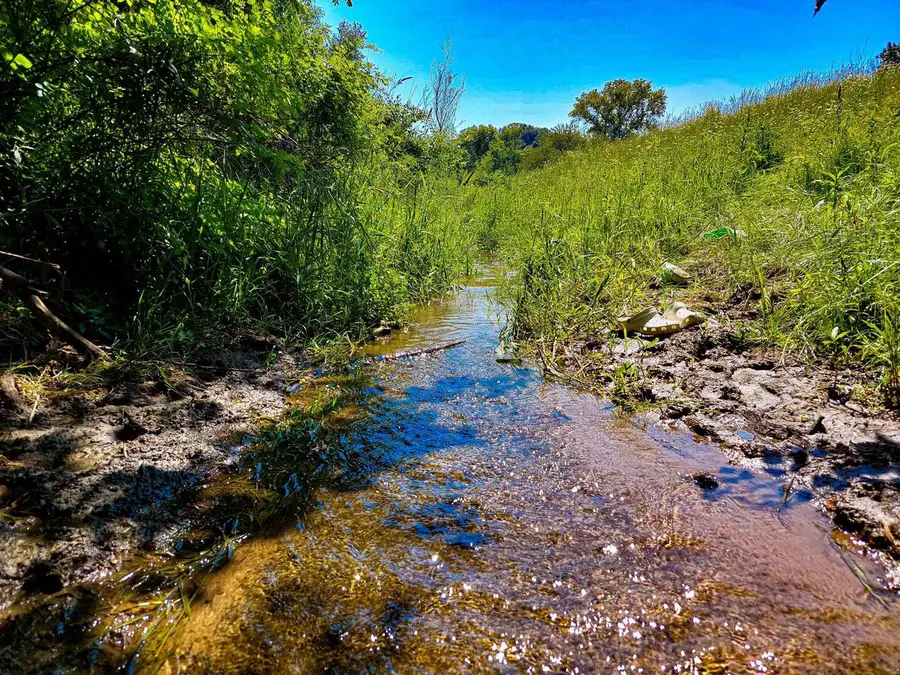 59 +/- Ac State Hwy 80, Richland Center, WI 53581 - #3