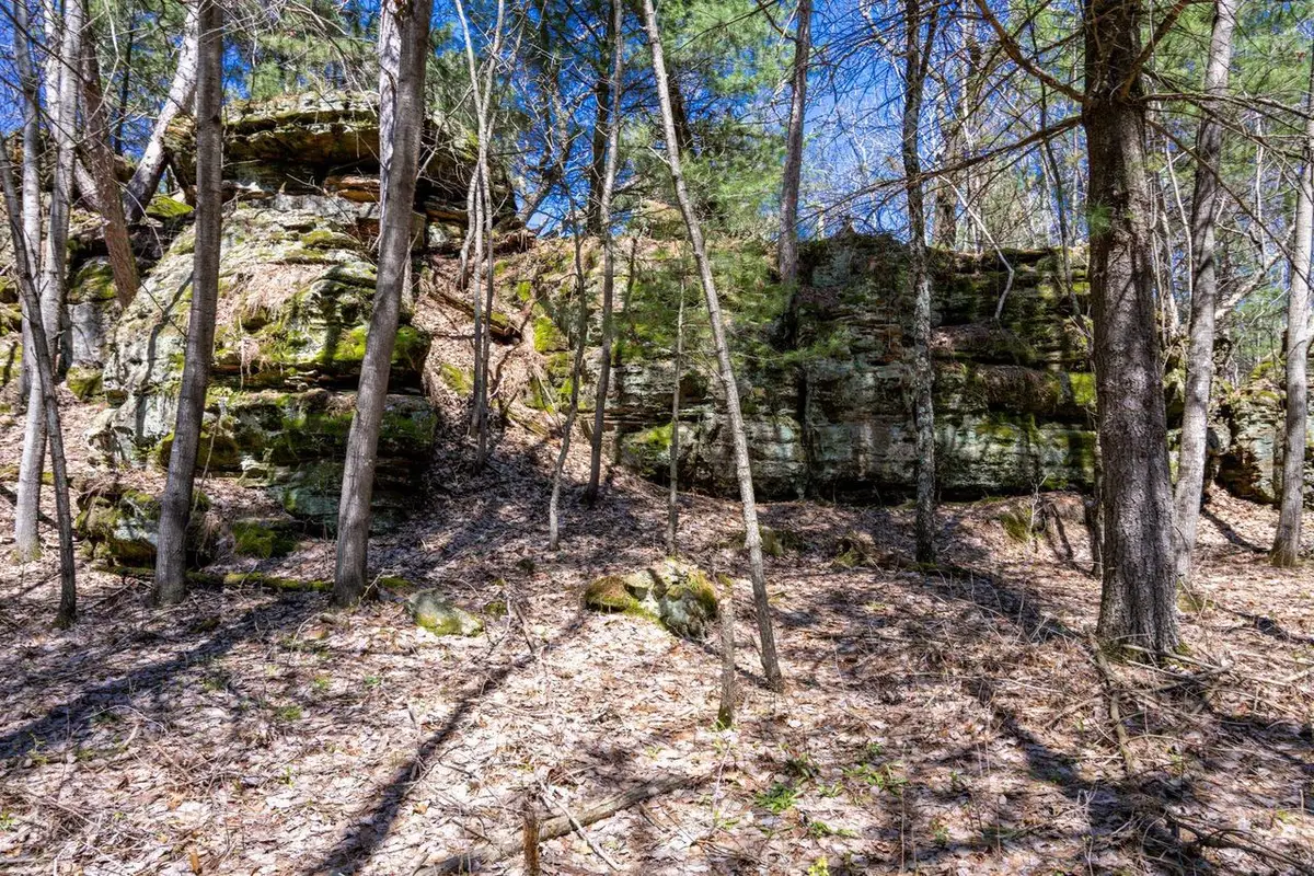 30.73 ac County Road B, Grand Marsh, WI 53936 - #1