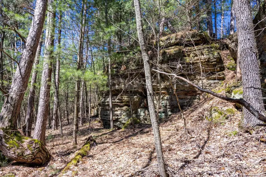 30.73 ac County Road B, Grand Marsh, WI 53936 - #2