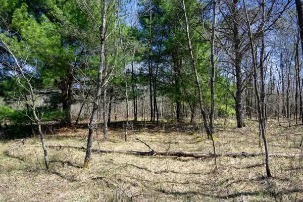 13.34 Ac 22nd Street, Necedah, WI 54646