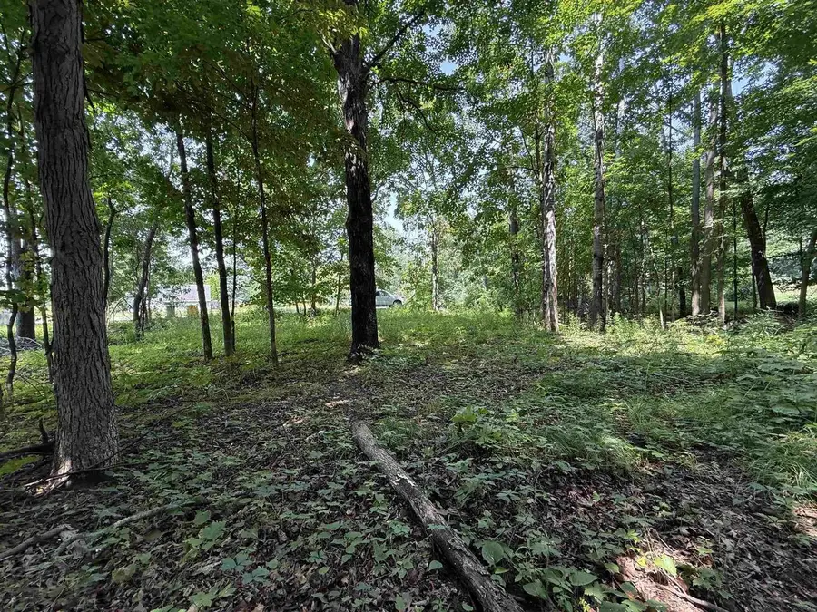 L52 Draper, Baraboo, WI 53913 - #2