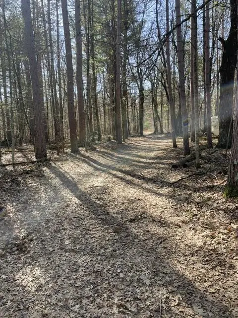 0 Forest Road 1637 Road, Stephenson, WI 54161 - #1