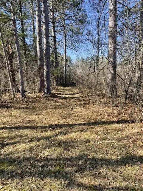 0 Forest Road 1637 Road, Stephenson, WI 54161 - #3