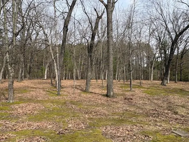 Lot 13 2nd Court, Oxford, WI 53952 - #1