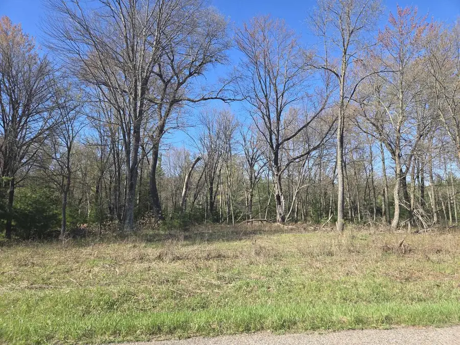 0 Chicago Avenue, Arkdale, WI 54613 - #3