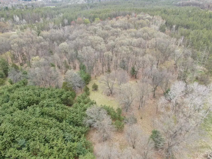 88+/- AC Dakota Ave Acres, Neshkoro, WI 54960 - #3
