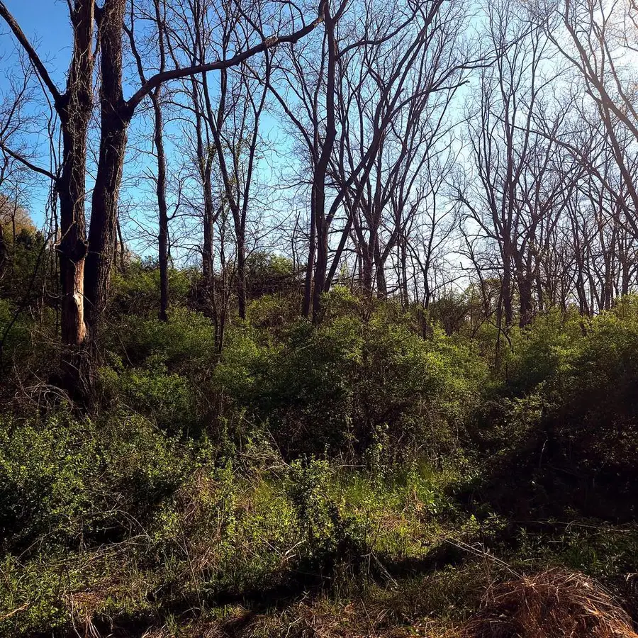 Lot  13 Holly Lane, Belleville, WI 53508 - #3