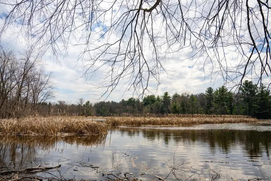 Lot 254 Dakota Junction, Friendship, WI 53934 - #3