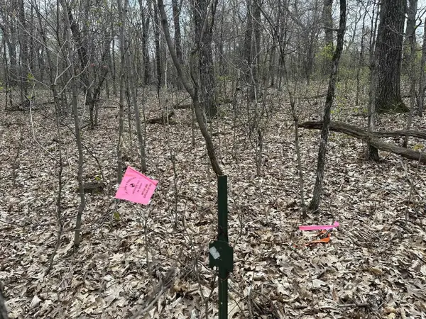 8.77 ac Raedel Lane, Wisconsin Dells, WI 53965