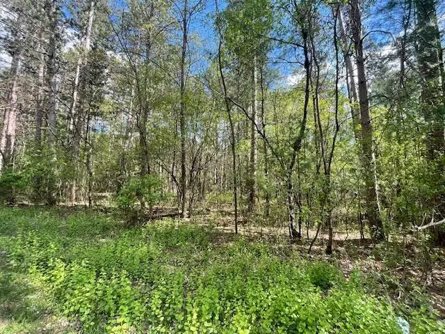 Lots 4 & 5 Czech Lane, Friendship, WI 53934 - #2