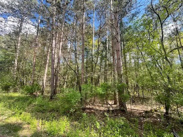 Lots 4 & 5 Czech Lane, Friendship, WI 53934 - #3