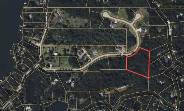 Lt14 BLUE HERON, Whitewater, WI 53190