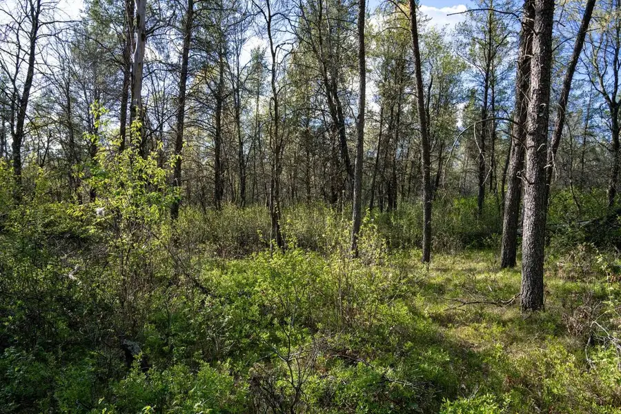 2 Ac 25th St E, Necedah, WI 54646 - #3