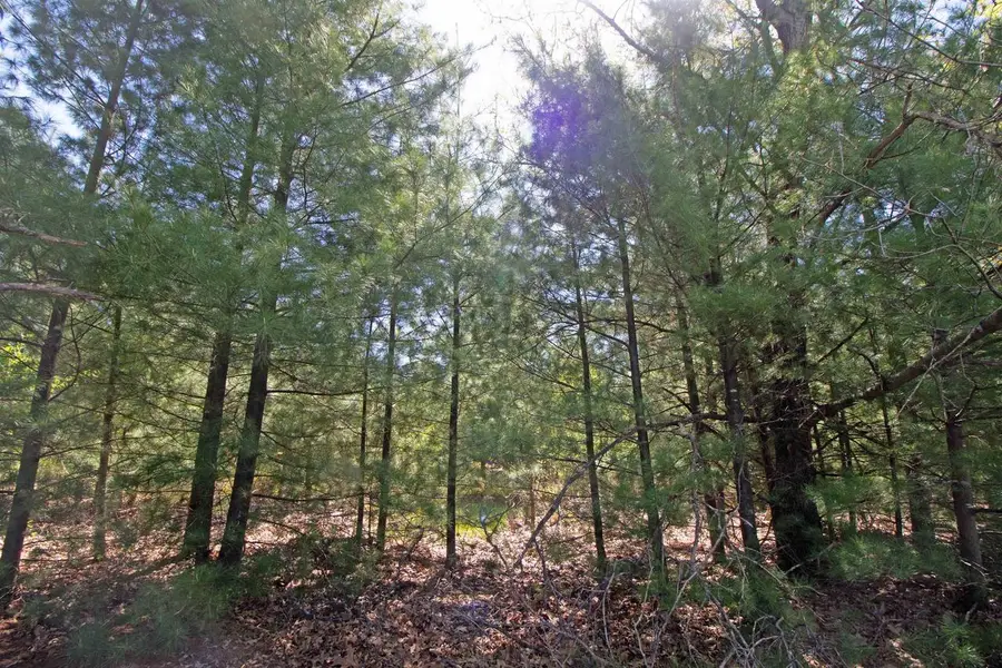 Lot20 Timber Trail, Spring Green, WI 53588 - #2
