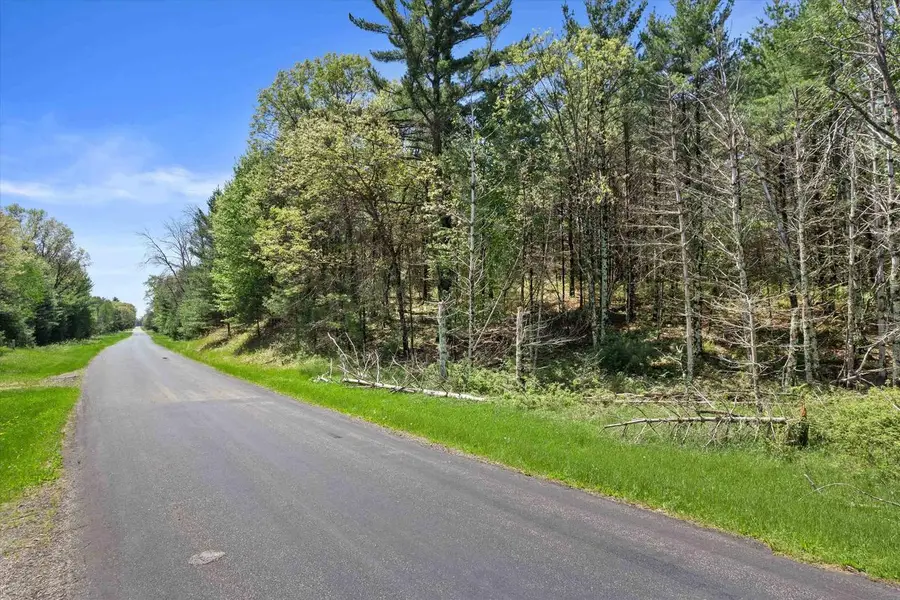 Lot 4 Chicago Avenue, Arkdale, WI 54613 - #3