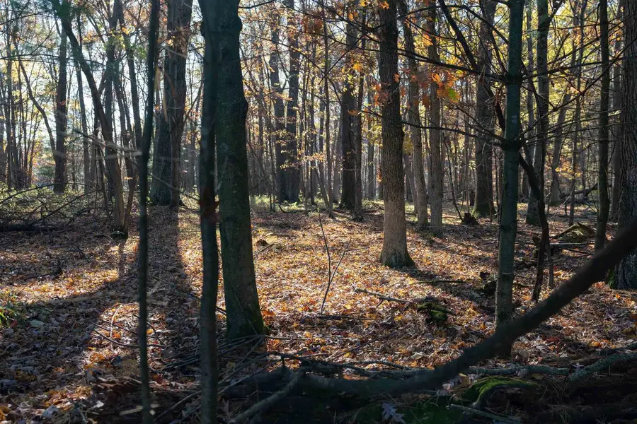 121 Acres County Highway ET, Tomah, WI 54660 - #3