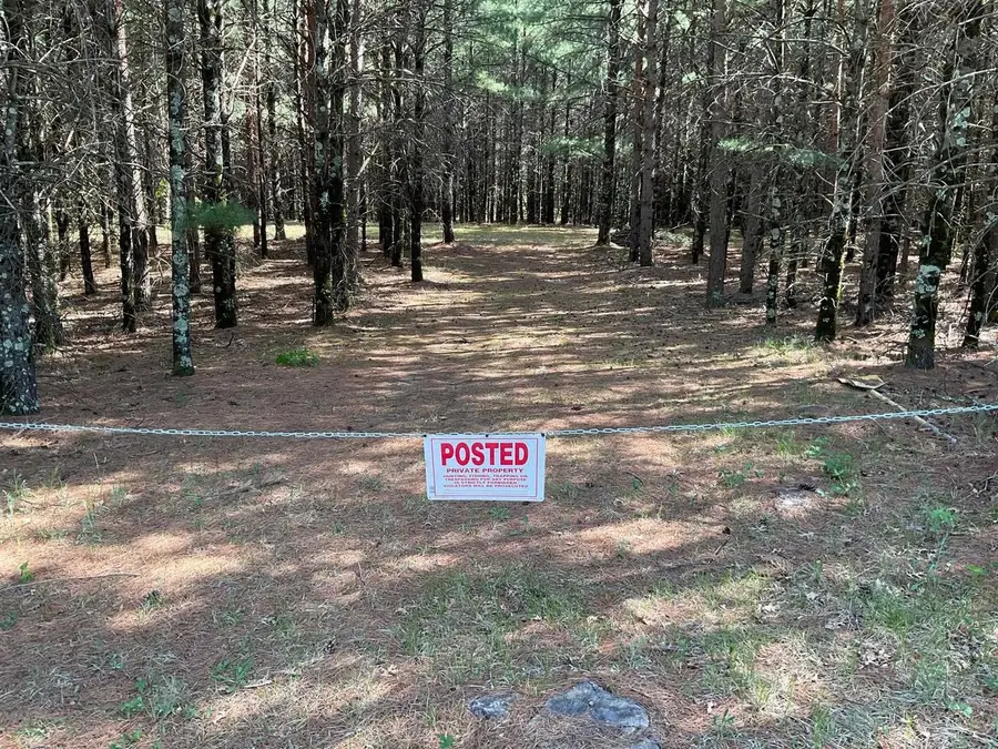 5.7 Acres Browndeer Avenue, Friendship, WI 53934 - #3