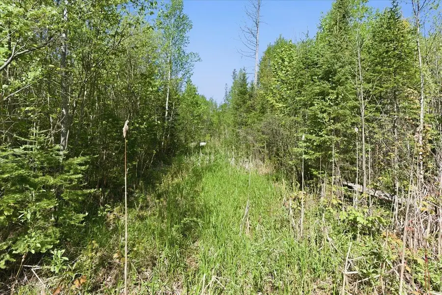 0 County Highway J, Deerbrook, WI 54424 - #3