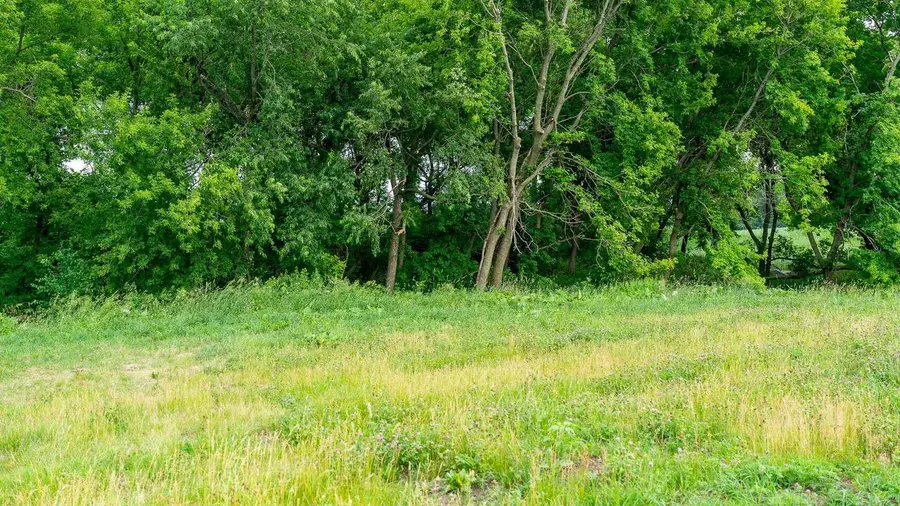 N9667 County C Road, Fox Lake, WI 53933 - #2