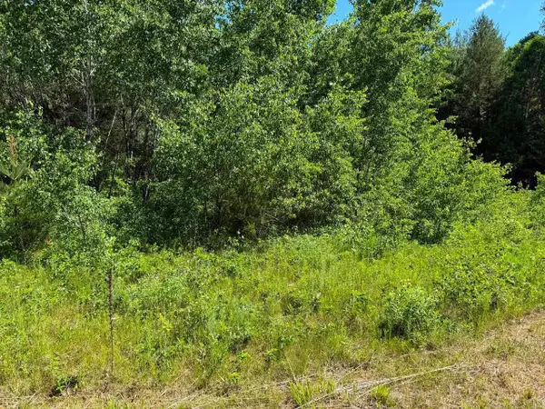 2 Acres County Road C, Arkdale, WI 54613