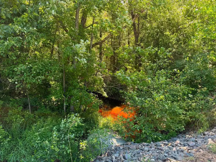 2.5 Acres County Road C, Arkdale, WI 54613 - #3
