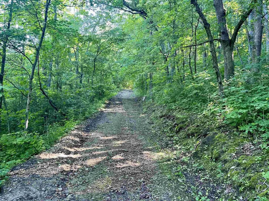 Highway 131, Gays Mills, WI 54631 - #3