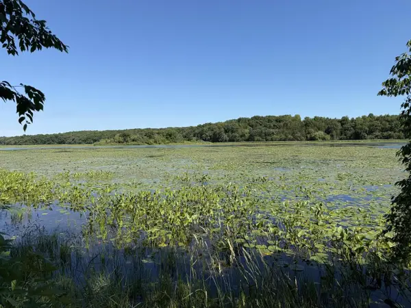 Lots 47-50 W Lakeshore Drive, Elkhorn, WI 53121