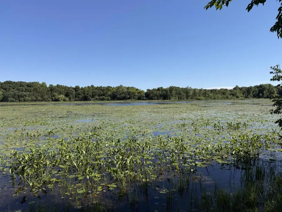 Lots 47-50 W Lakeshore Drive, Elkhorn, WI 53121 - #3