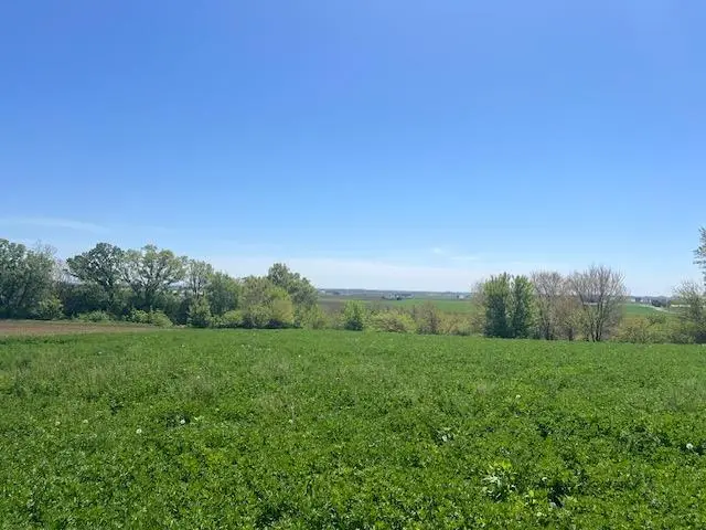 L7 Ervins Way, Waunakee, WI 53597 - #1