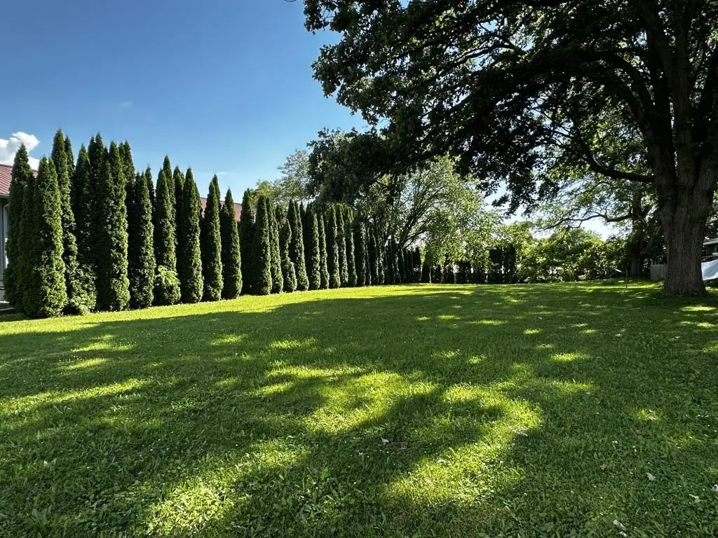 332 S Lynn Street, Stoughton, WI 53589 - #1