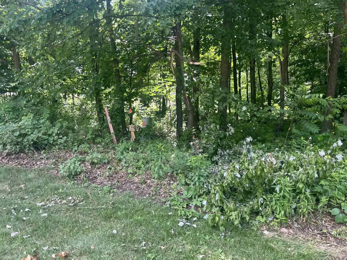 Lots 10 & 11 Oak Hill Estate East Street, Mauston, WI 53948 - #1
