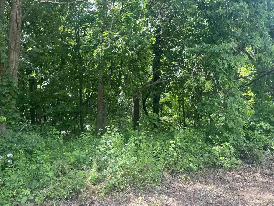 Lots 10 & 11 Oak Hill Estate East Street, Mauston, WI 53948 - #2