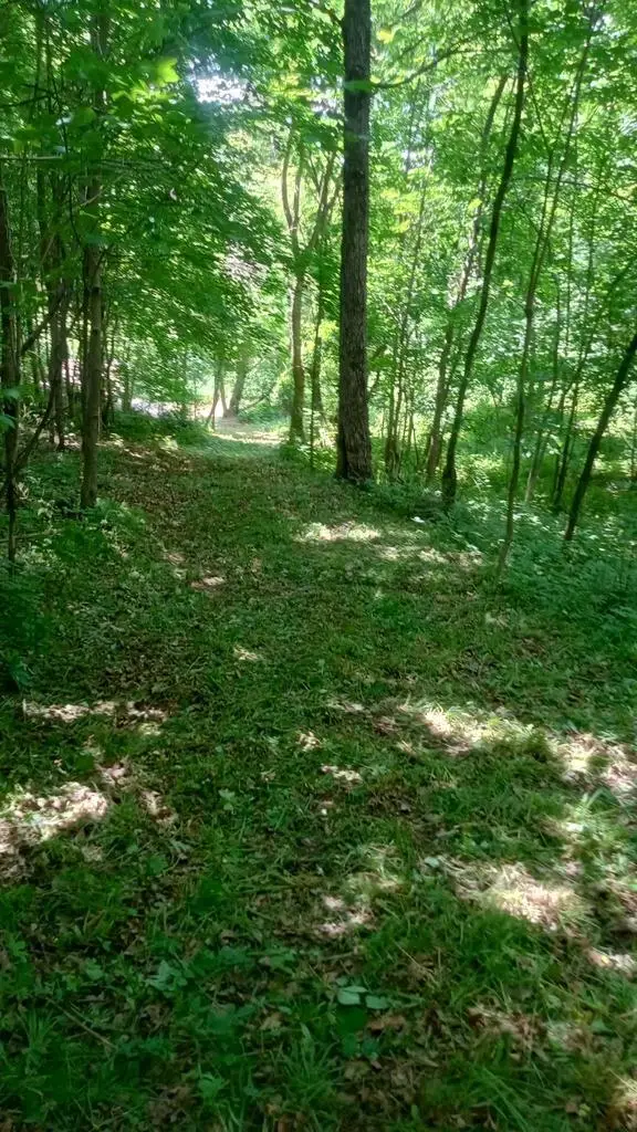 Hwy W Road, Rock Springs, WI 53961 - #2