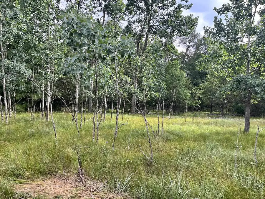 3074 13th Avenue, Grand Marsh, WI 53936 - #2