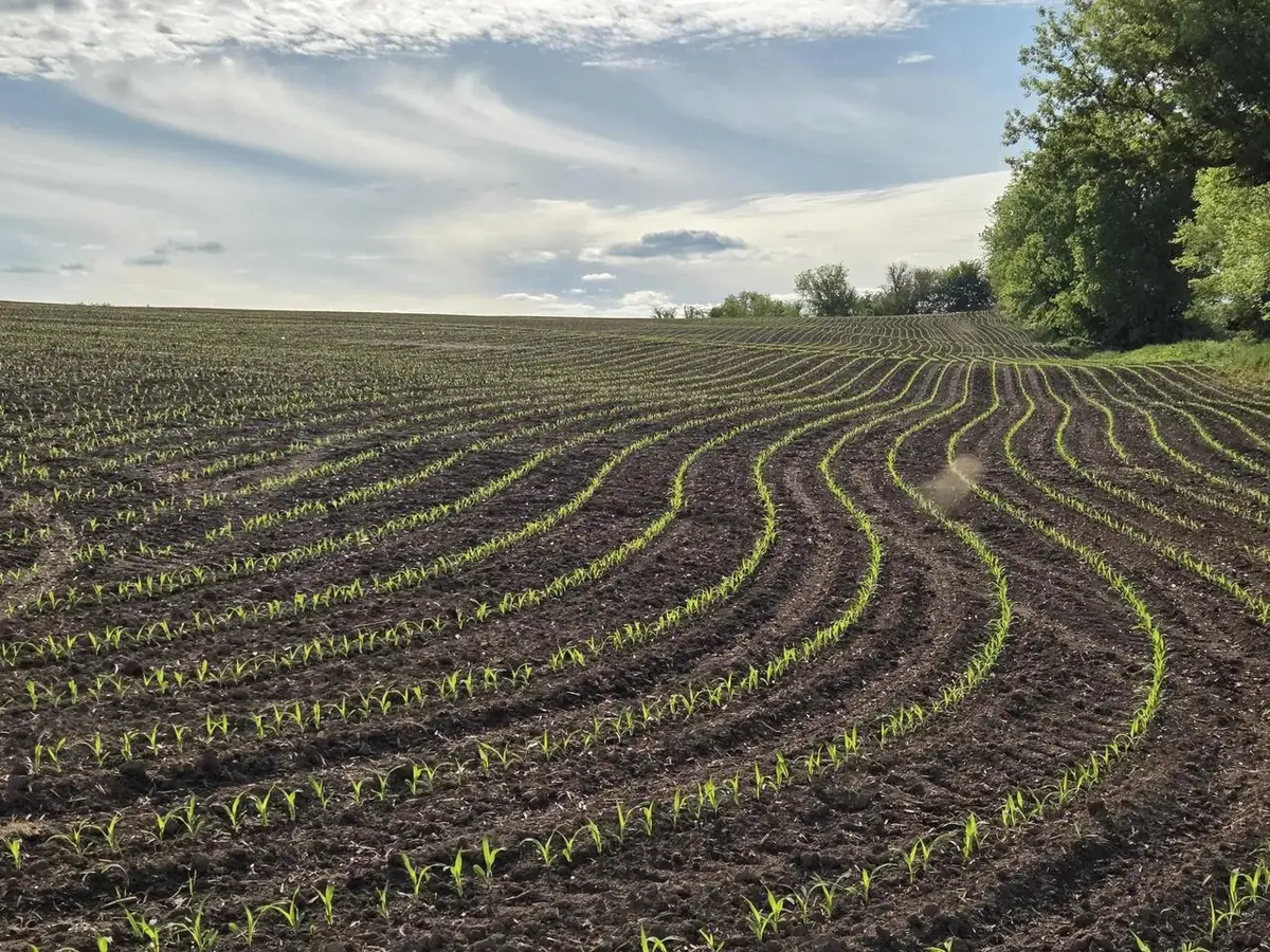 18.5 Ac County Road W Road, Hazel Green, WI 53811 - #1