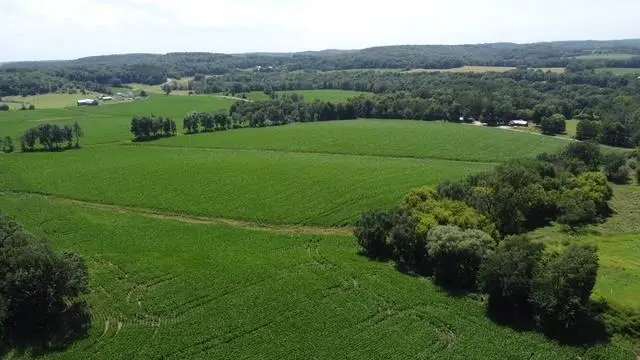 135.45 acres Costigan Road, Lyndon Station, WI 53944 - #1