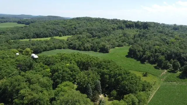 135.45 acres Costigan Road, Lyndon Station, WI 53944 - #2